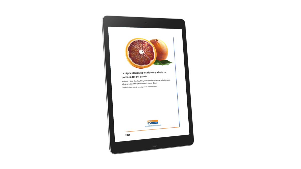 citricos pigmentados